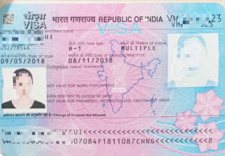 印度旅游签证，样图